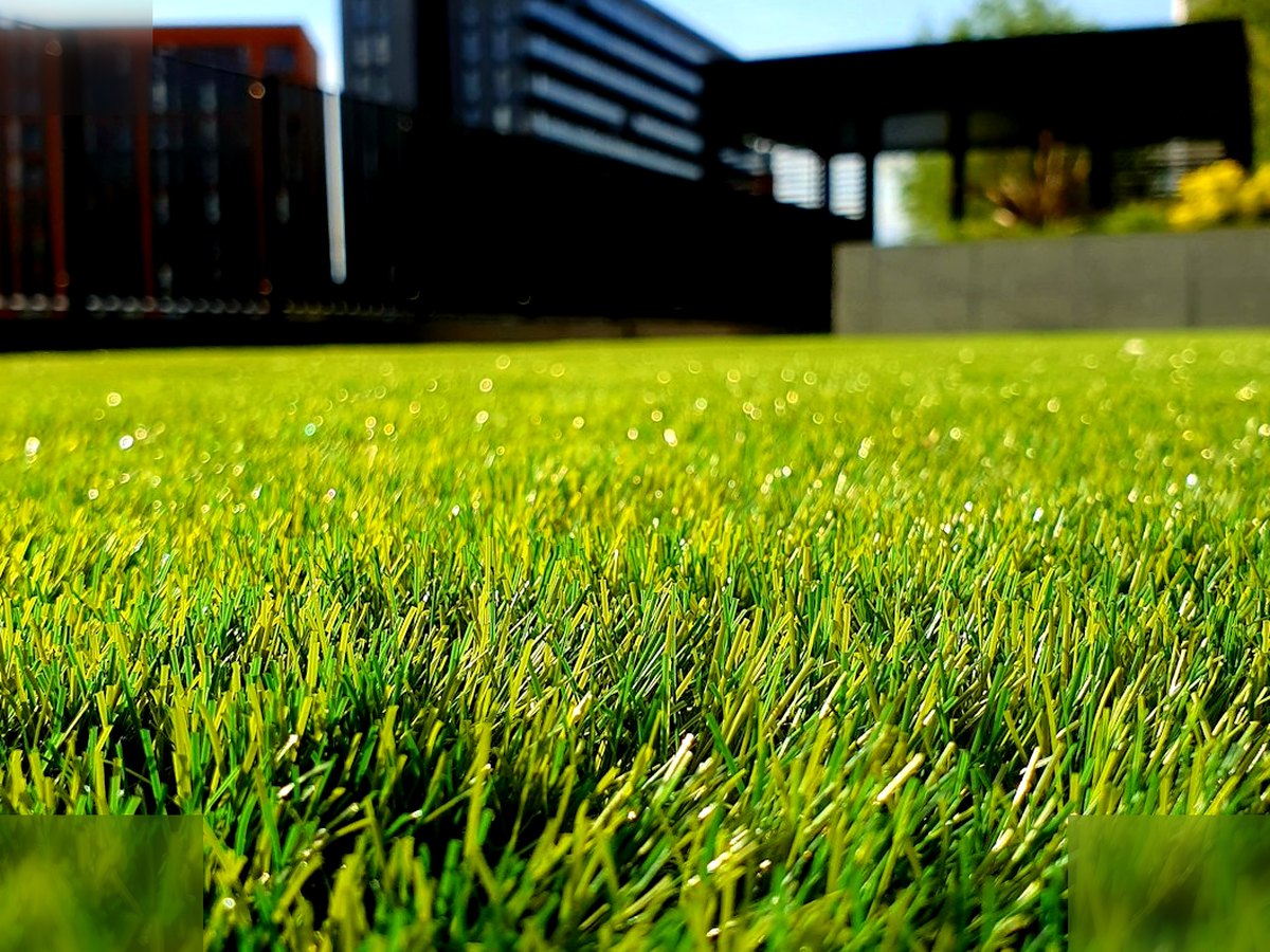 Landscaped residential yard